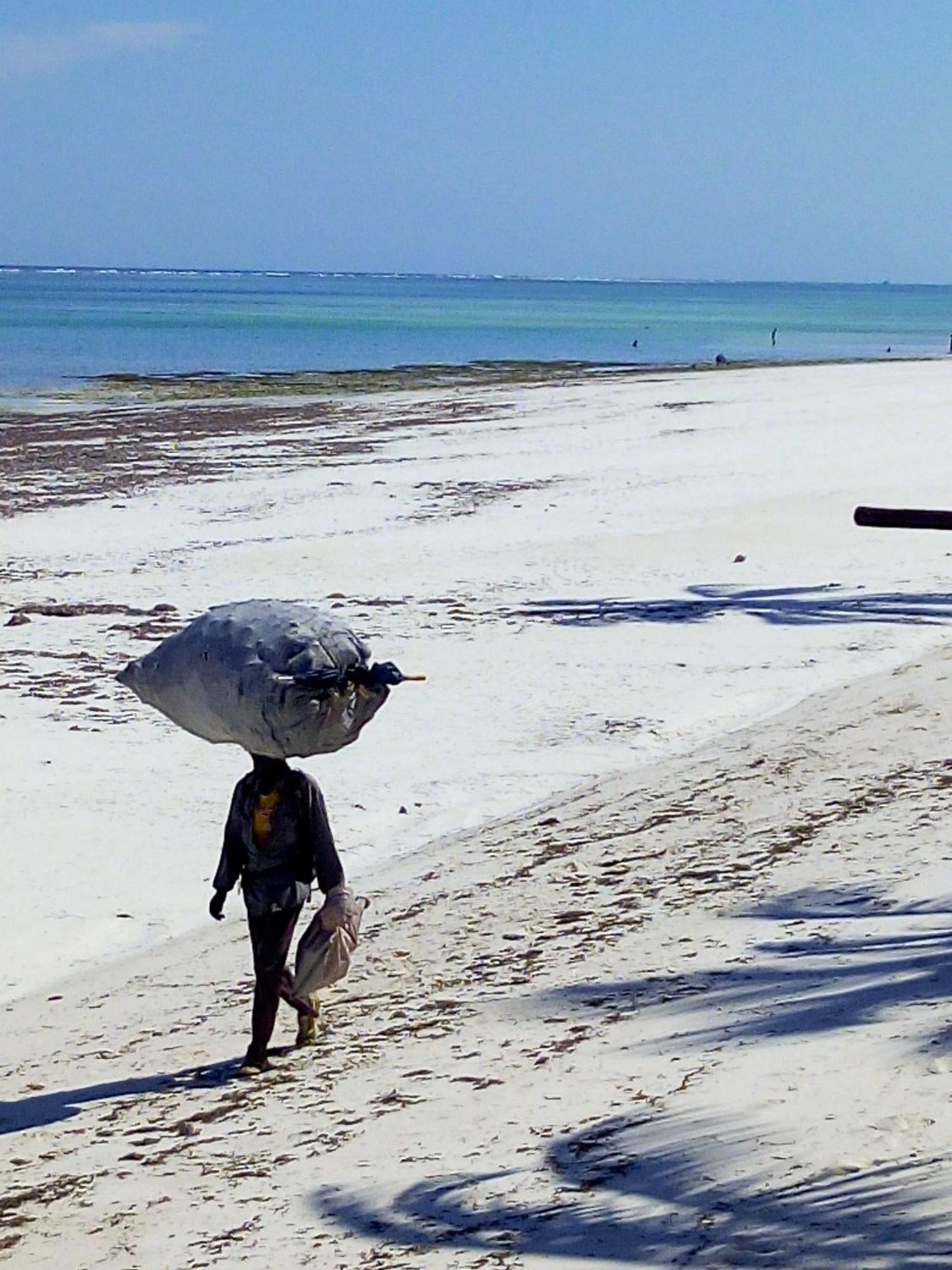 Aqua Resort Diani Beach Esterno foto